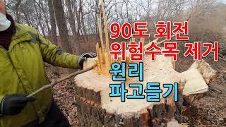 90도 회전 위험수목 제거 원리 파고들기