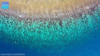 Quiet Music For Kids In The Classroom - Shoreline beach waves, relaxing music for classroom work