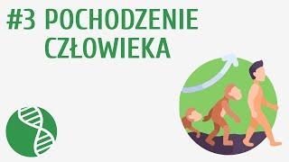 Pochodzenie człowieka #3 [ Ewolucja życia ]