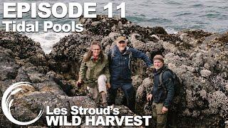 Wild Harvest | Season 2 | Episode 11 | Tidal Pools