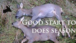 Good start to does season. Deer hunting video by RoeStalker