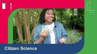 You’re the scientist! Citizen Science, Frogs & Cicadas