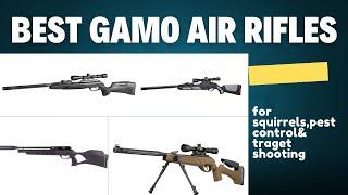 5 Best Gamo Air Rifles 2024