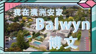 我在澳洲安家｜澳洲墨尔本区域介绍 ｜ Balwyn 博文 ｜ 墨尔本好区推荐