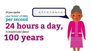 Genomics Fun Facts: Genome Length