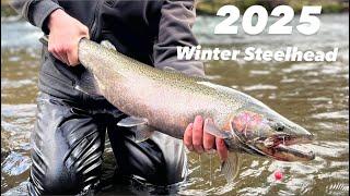 Oregon Winter Steelhead Fishing | First fish of 2025