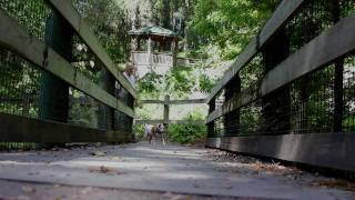 Rainbow Springs State Park, Dunnellon Florida