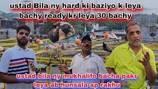 Ustad bila ny hard k keya 30 bachy nikaly ab in kabutaro sy shoq huga