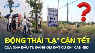 ĐỘNG THÁI “LẠ” cận tết của nhà đầu tư đang ôm đất Củ Chi, Cần Giờ, Hóc Môn | CafeLand