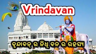 Vrindavan tour || Nidhivan || Iskcon temple || Banke Bihari Temple || ବୃନ୍ଦାବନ୍ ର ନିଧି ବନ ର ରହସ୍ୟ ||