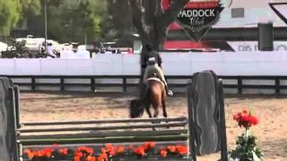 Video of Bailando ridden by Samantha Hurley from ShowNet!