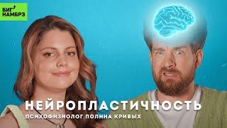 Нервные клетки восстанавливаются | ПСИХОФИЗИОЛОГ ПОЛИНА КРИВЫХ