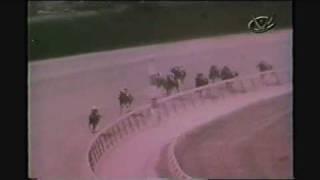 Ruffian's First Race