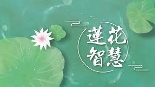 因果正见定解的重要性 193 | 修行人首先生起因果正见 #因果 #因果教育20211101