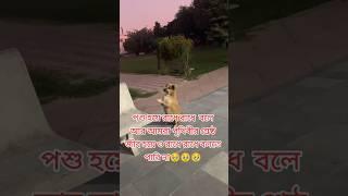 কুকুরটি কত সুন্দর করে রাধে রাধে বলছে #shorts #wereblog #viral