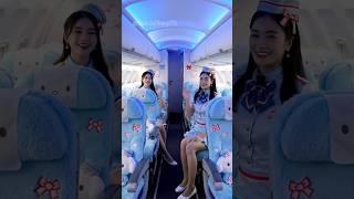 Dear Daniel Themed Airplane #travel #airplane #airplanetheme #trending #shorts