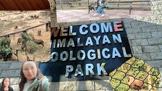 Himalayan zoological park Gangtok.Bulbule #zoo.