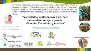 Charla virtual: Variedades costarricenses de maíz: alternativa forrajera de alimentación y ensilaje