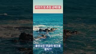 바닷가 앞 촌집 급매물 포항 바닷가 주택 매매 바닷가 바로 앞 땅 바닷가 주택 매물