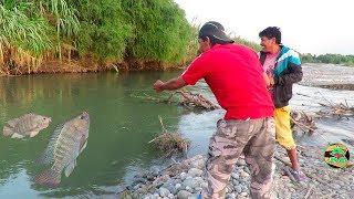 MIRA ASÍ SE PESCAN A LAS TILAPIAS CON ANZUELO - Pesca de Tilapias en Río