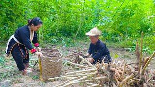 Dwarf family harvesting cassava encounter a giant python molting | Renovates house after flash flood