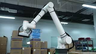 FAIRINO Cobot Palletizing Solution