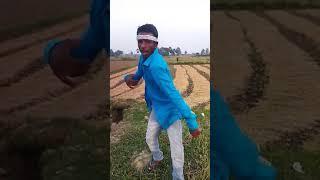 dhanraj kumar