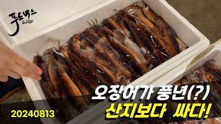 산지보다  더 싼이유가 뭘까요?  멀리갈 필요가 없다!!!   8월 13일  노량진 수산시장