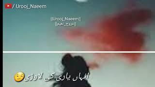 New Saraiki Song Status 2019||Mahiye||