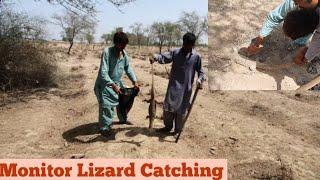 Monitor Lizard Catching on the Complaint of Farmers