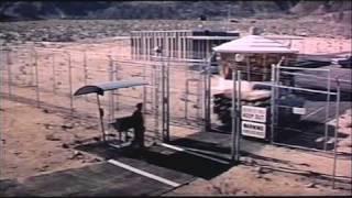 Satan Bug - TRAILER - Alistair MacLean