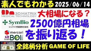 【全銘柄分析】スリー・ディー・マトリックス！大相場になる？シンバイオ製薬2500億円相場を振り返る！メルカリ・バンク・オブ・イノベーション・ガンホーの事例参考も！【202506014】