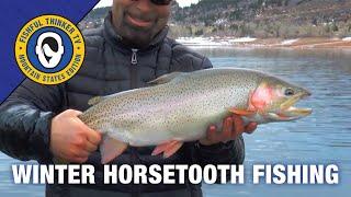 Huge Winter Reservoir  Trout (trout fishing tips)