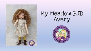 Unboxing Meadow Dolls Tween Avery BJD