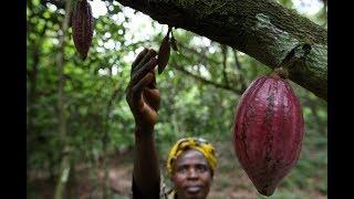 The Geography of Chocolate