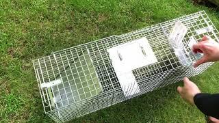 Havahart Large Trap for Groundhogs - Woodchucks 1045