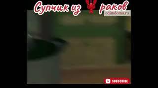 Юлия высоцкая готовит суп из раков  #юлиявысоцкая #повар #наножах #идиотизм