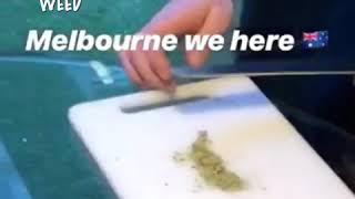 LIL XAN “ IN MELBOURNE CHOPPING UP CANNIBUS”