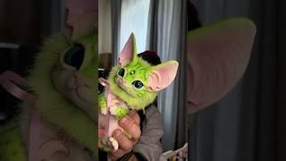 Лабубу или существа ручной работы от Ralf Toys? #куклыручнойработы #лепкаизполимернойглины #кот