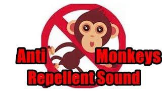 Anti Monkeys Repellent Sound