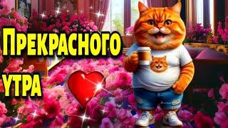 С ДОБРЫМ УТРОМ!ЧУДЕСНОГО ДНЯ! Красивая музыкальная открытка