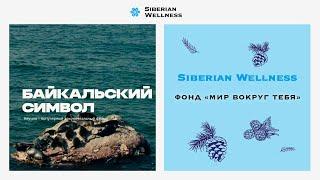 Скоро премьера: уникальный фильм о байкальской нерпе!