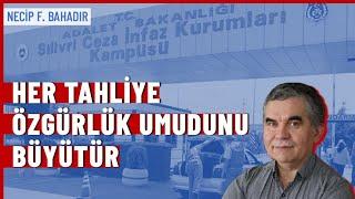 Necip F. Bahadır | Bir güzel, bir acı haber!