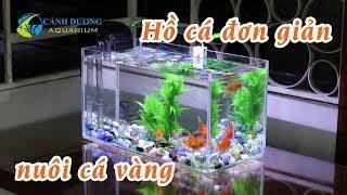 Hồ cá mini 40cm nuôi cá vàng | Hồ Cá Cảnh Dương