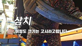 2024년도 제주시 경은호 마지막 갈치조업 영상/ The last video of Gyeongho's hairtail fishing in Jeju City in 2024