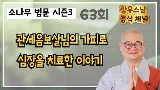 관세음보살님의 가피로심장을 치료한 이야기 | 소나무법문 시즌3 63회