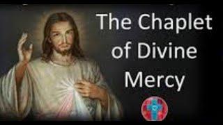 Pray Chaplet of Divine Mercy, 10/12/24