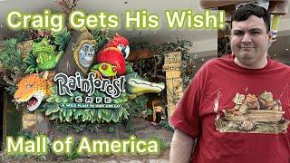 Rainforest Cafe | Mall Of America | Nickelodeon Universe Rides | M&M Store | Bloomington Minnesota