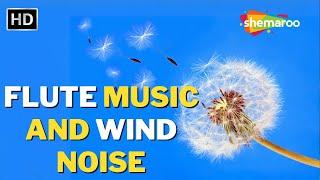 Flute Music And Wind Noise | Beautiful Relaxing Music | Shemaroo Life & Living