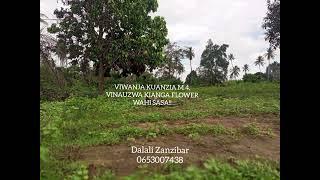 TUMEKATA VIWANJA KIANGA FLOWER BEI ZINAANZIA M 4 VYA MILIONI 4 VIMEBAKI VICHACHE (0653007438)